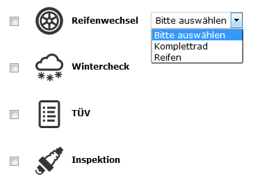 Terminauswahl Reifenwechsel, Wintercheck...